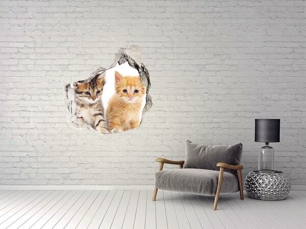 Nálepka fototapeta 3D Hnedé a zázvor cat