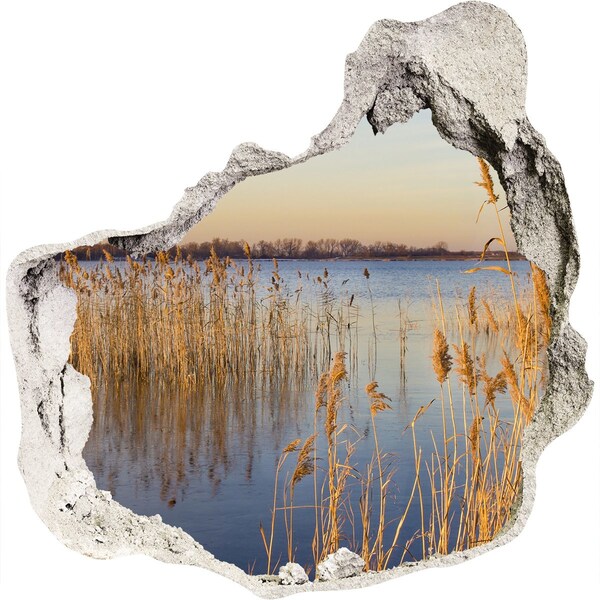 Fototapeta diera na stenu 3D Záliv s trstinou