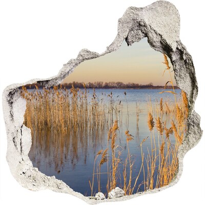 Fototapeta diera na stenu 3D Záliv s trstinou