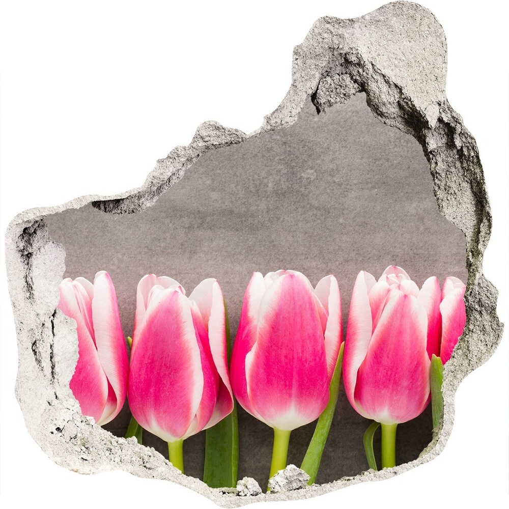 Diera 3D v stene na stenu Ružové tulipány