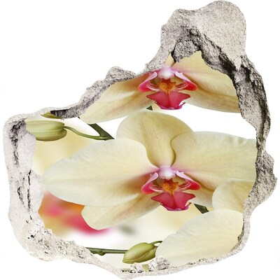 Samolepiaca diera nálepka Orchidea