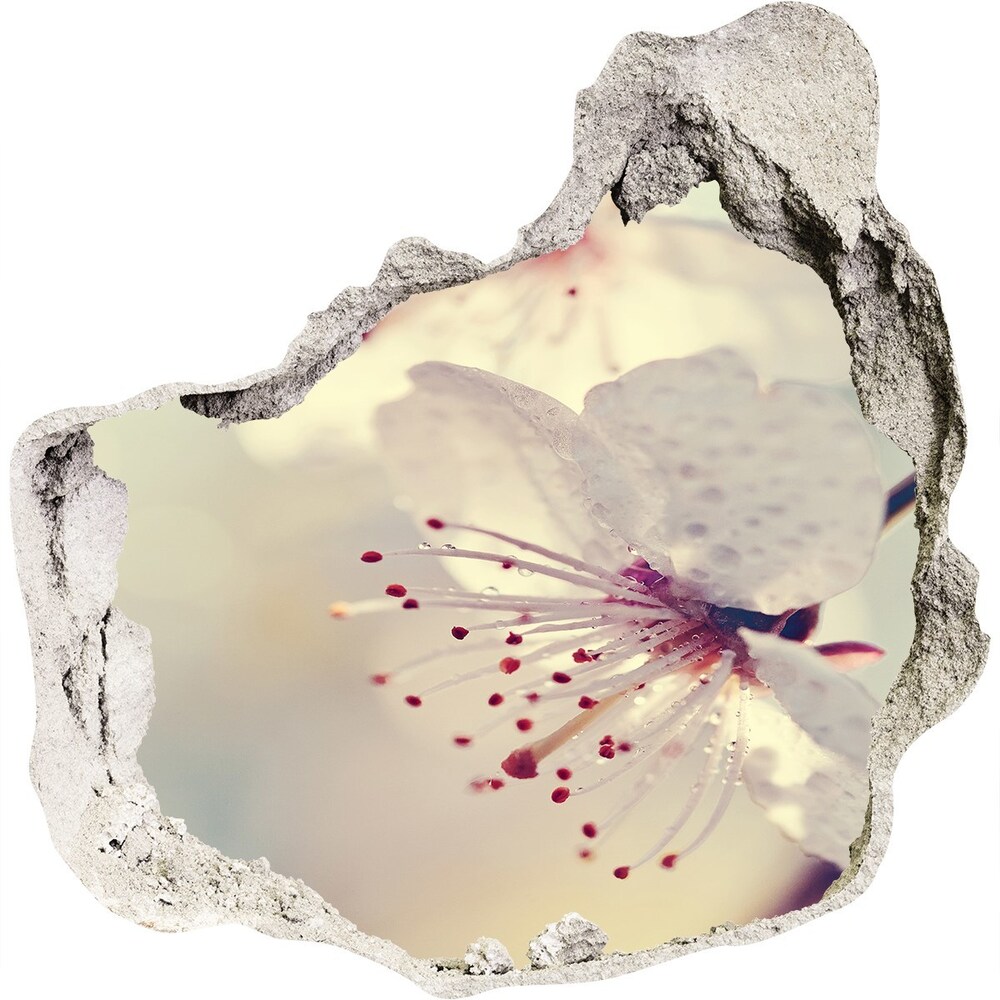 Nálepka 3D diera na stenu Čerešňový kvet