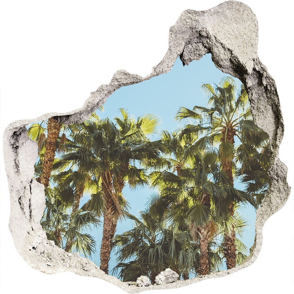 Fototapeta diera na stenu 3D Vysoké palmy