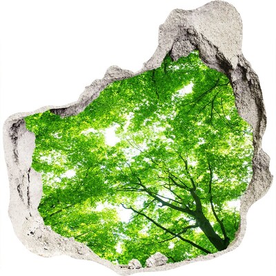 Nálepka 3D diera Green forest