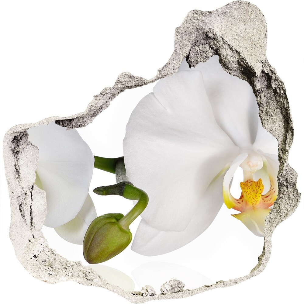 Nálepka diera na stenu betón Orchidea