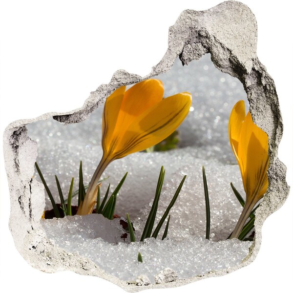 Diera 3D fototapety nástenná Crocus v snehu