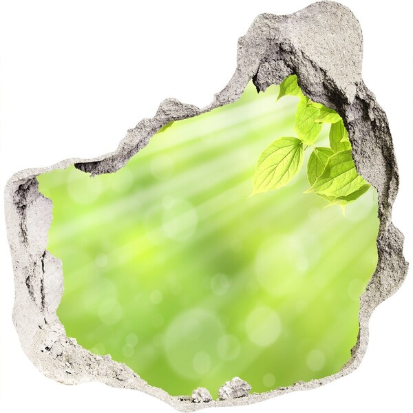 Diera 3D fototapety na stenu nálepka Zelený raj za múrom