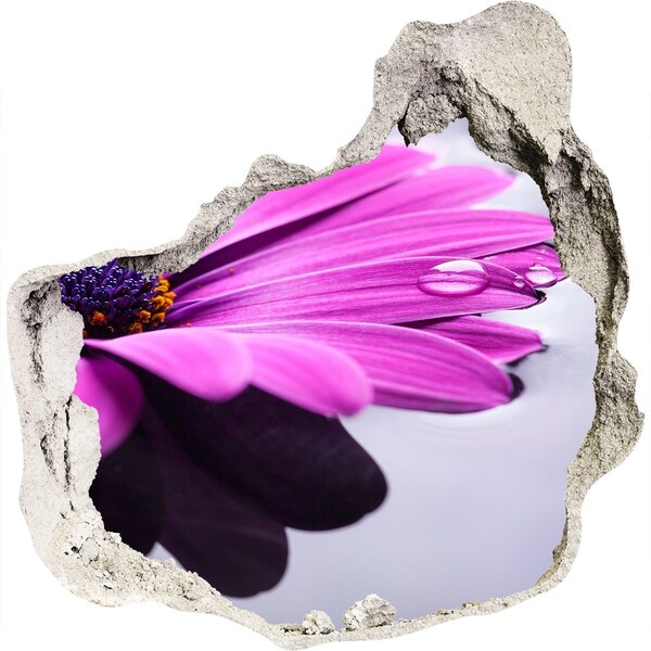 Samolepiaca diera nálepka Kvetinová oáza za múrom