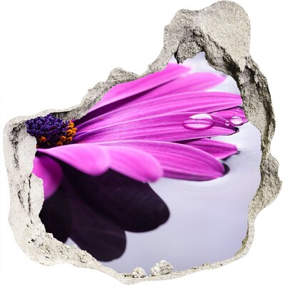 Samolepiaca diera nálepka Kvetinová oáza za múrom