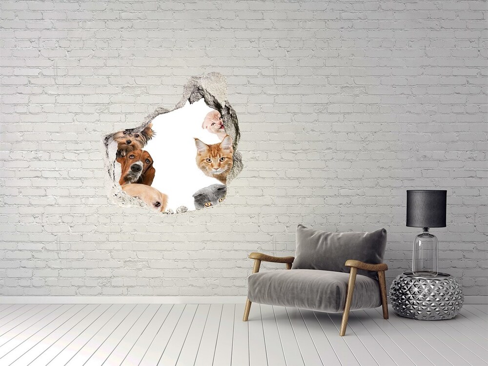 3D diera na stenu Psy a mačky