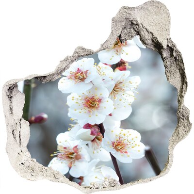 Fototapeta diera na stenu 3D nálepka Čerešňové kvety