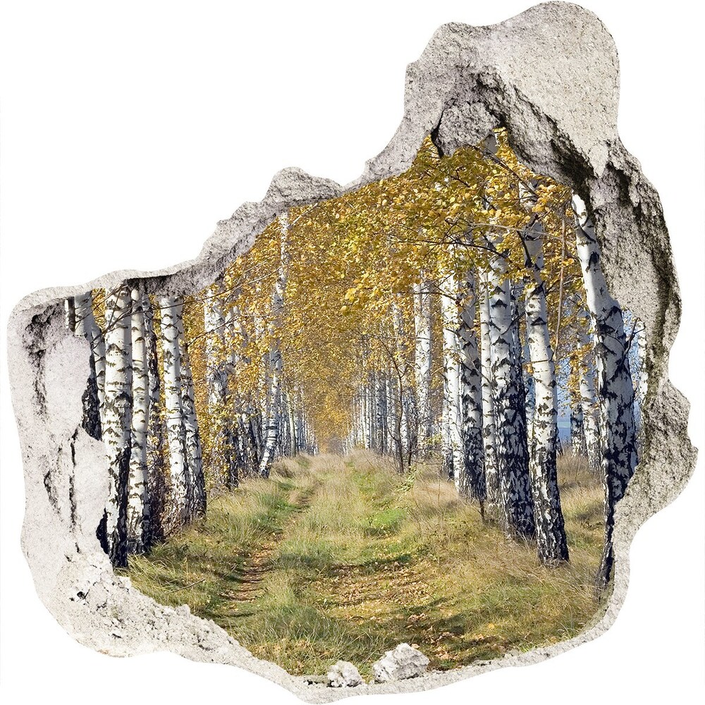 Fototapeta diera na stenu Brezy na jeseň