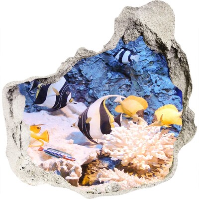 Fototapeta diera na stenu 3D Koralový útes