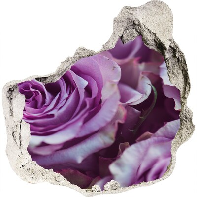 Samolepiaca diera na stenu nálepka Fialové ruže