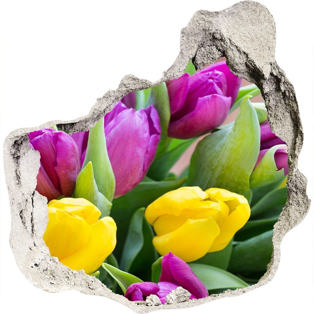 Diera 3D fototapety Farebné tulipány