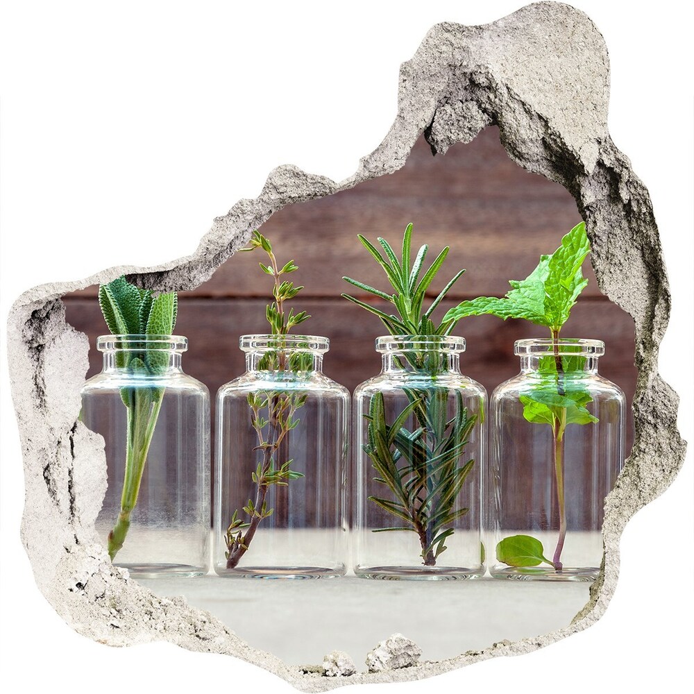 Nálepka 3D diera na stenu Rastliny v nádobách