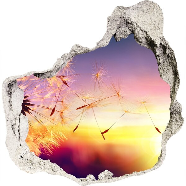 Diera 3D fototapety nálepka Kvetinové sny pri západe slnka