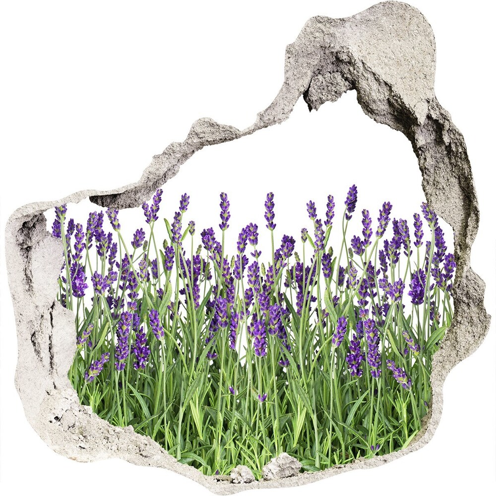 Díra 3D ve zdi nálepka Kvety levandule