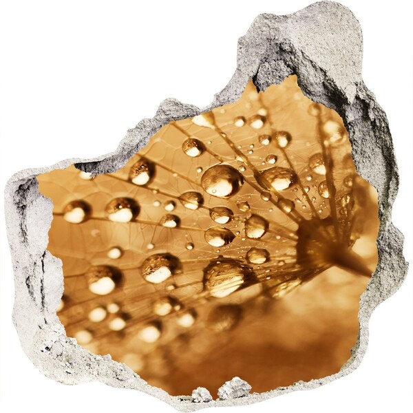 Diera 3D fototapety nálepka Kvapky na liste