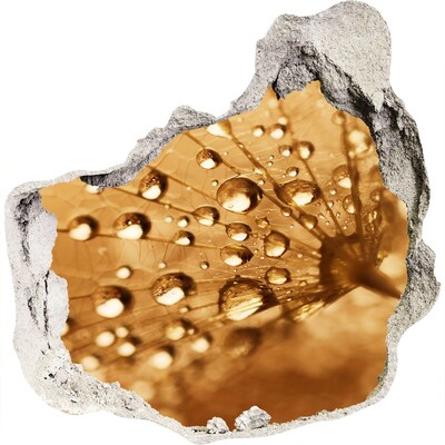 Diera 3D fototapety nálepka Kvapky na liste