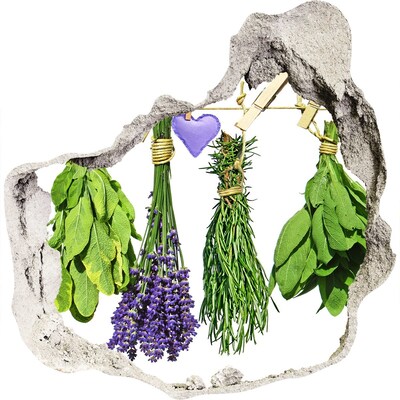 Fotoobraz diera na stenu nálepka Bylinková záhrada Diera v stene