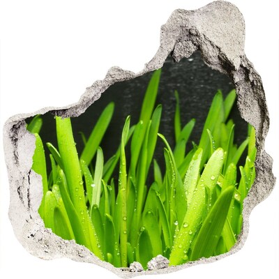 Diera 3D fototapety nástenná Zelený raj za múrom