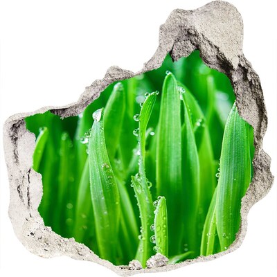 Nálepka 3D diera na stenu Zelená lúka s kvapkami vody