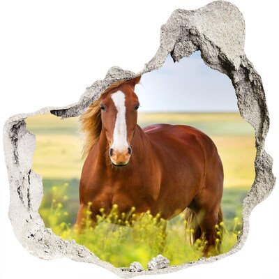 Foto fotografie diera na stenu Hnedý kôň