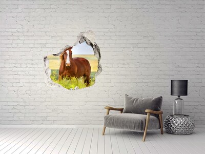 Foto fotografie diera na stenu Hnedý kôň