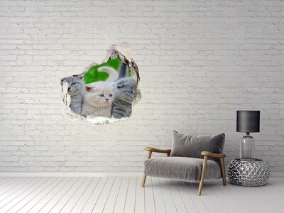 Fototapeta diera na stenu 3D Tri mačky na deke