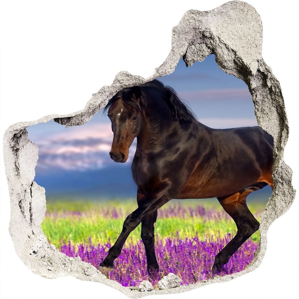 Fototapeta diera na stenu 3D Kôň v poli levandule