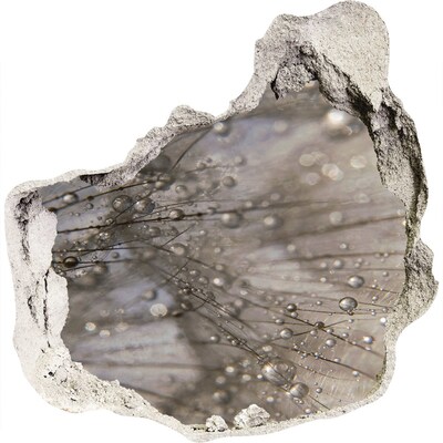 Nálepka 3D diera na stenu Kvapky vody na skle