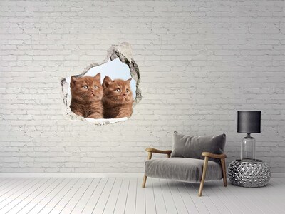 Fototapeta diera na stenu Mačky na uterák