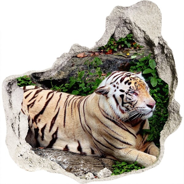 Diera 3D foto tapeta nálepka Tiger na skale