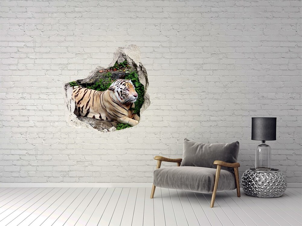Diera 3D foto tapeta nálepka Tiger na skale