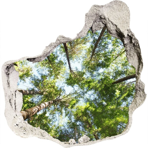 Fototapeta diera na stenu Pohľad na les s modrou oblohou