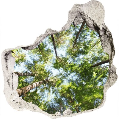 Fototapeta diera na stenu Pohľad na les s modrou oblohou