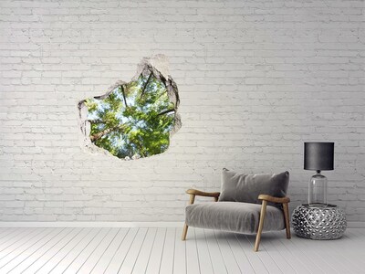 Fototapeta diera na stenu Horná vetvy stromu