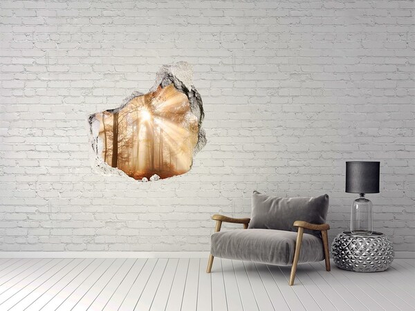 Fototapeta diera na stenu 3D Lesný priesmyk Slnka