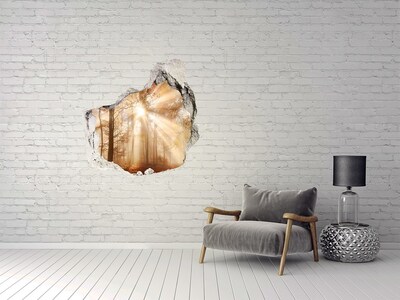 Fototapeta diera na stenu 3D Lesný priesmyk Slnka