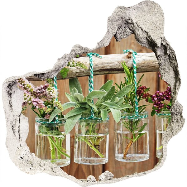 Diera 3D fototapety nálepka Bylinková záhrada v pohároch