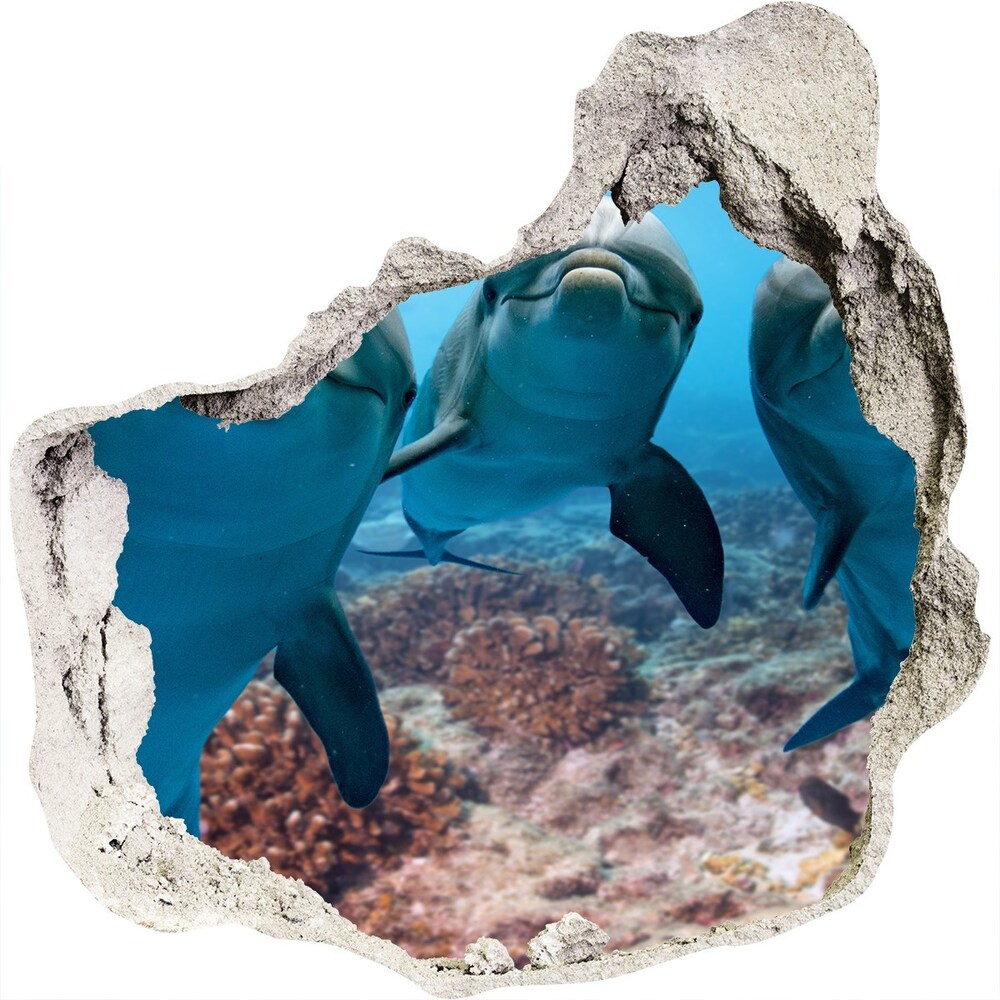 Fotoobraz diera na stenu Delfíny