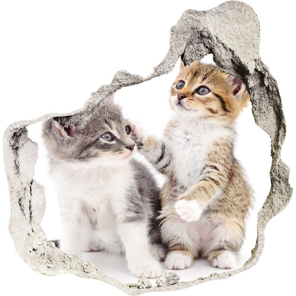 Diera 3D foto tapeta nálepka Dve malé mačky