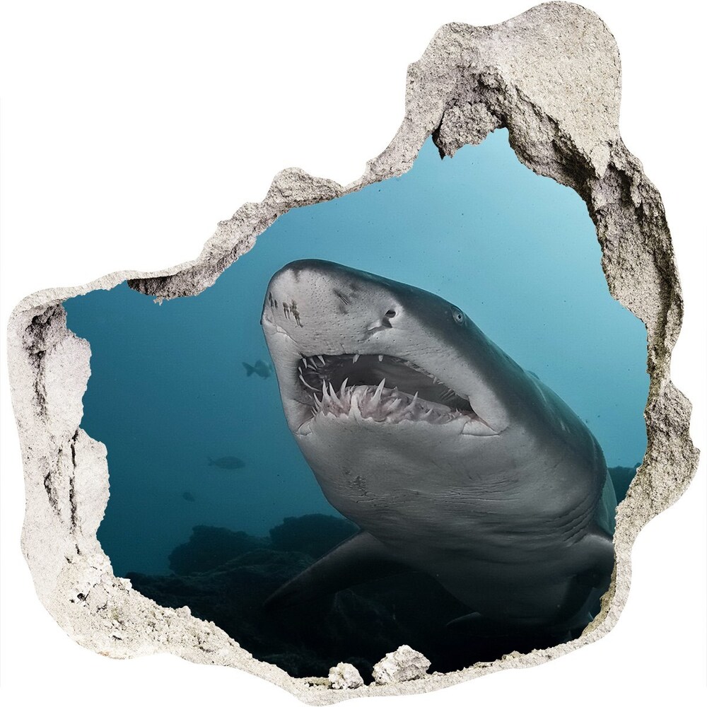 Fotoobraz diera na stenu Veľký žralok
