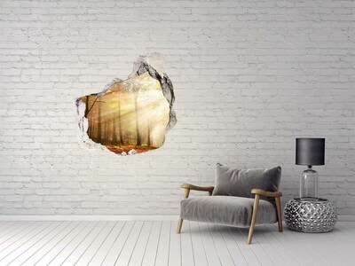 Diera 3D fototapety na stenu nálepka Hmla v lese
