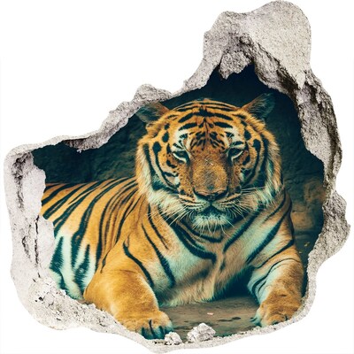 Samolepiaca nálepka Tiger cave