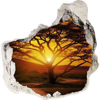 Fototapeta diera na stenu 3D Západná afrika