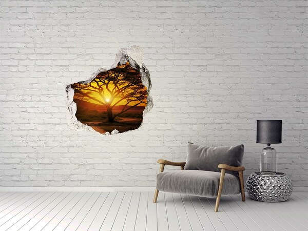 Fototapeta diera na stenu 3D Západná afrika