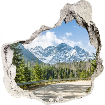 Fototapeta diera na stenu Road tatry