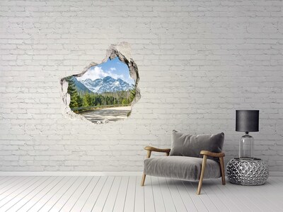 Fototapeta diera na stenu Road tatry